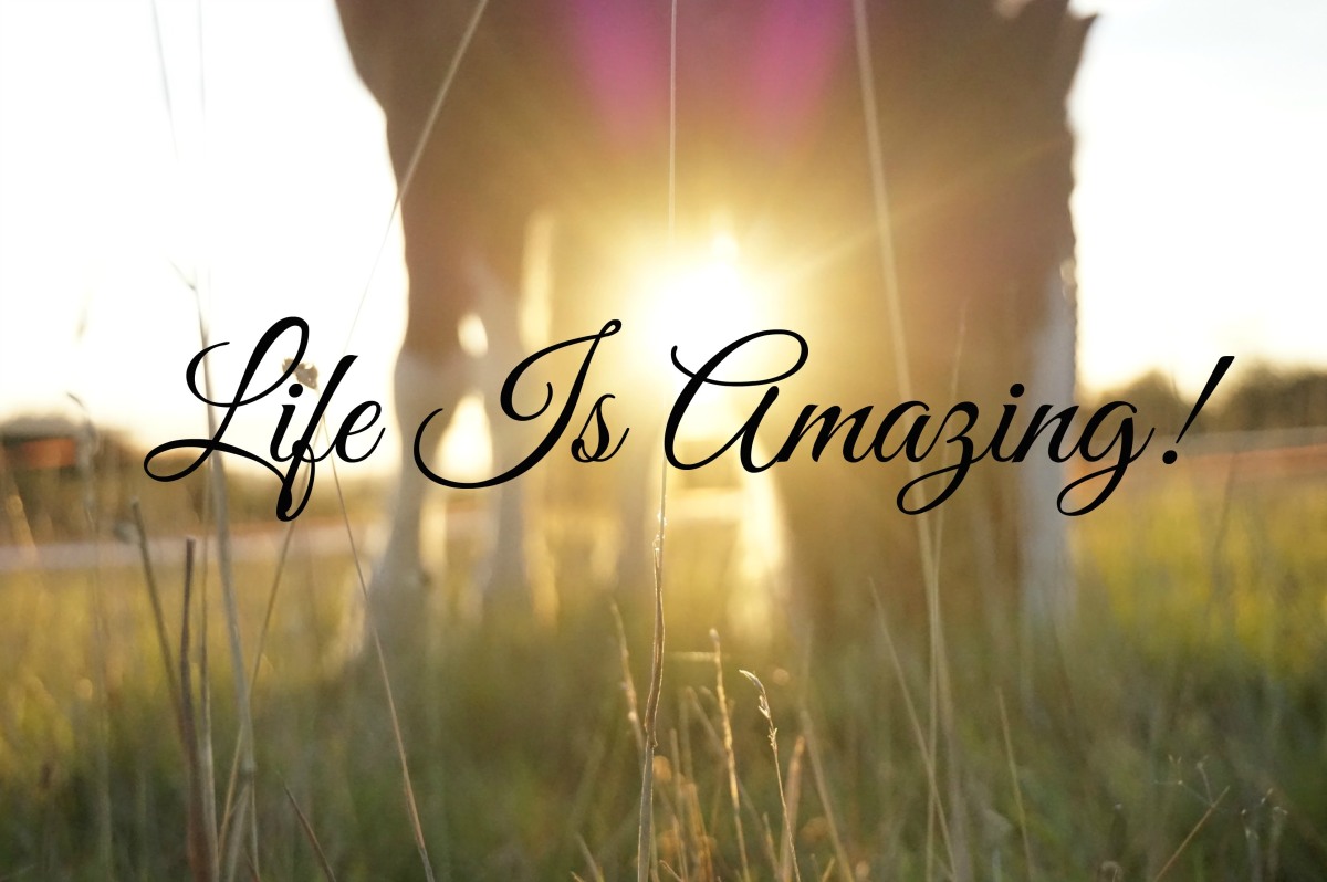 Life is ride. Life is amazing. Life are amazing. Life is an amazing thing. Life are amazing citates.